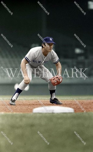 Dw394 graig nettle yankees - dw394,